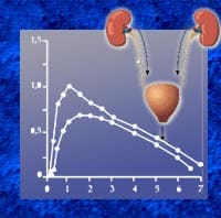 Alcohol Pharmacokinetics