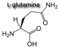 L-glutamine.gif