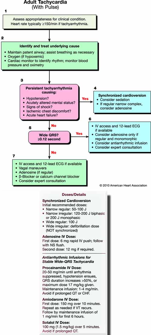 ACLS Guidelines - 2015 Update - Adult Cardiac Arrest: Tachycardia