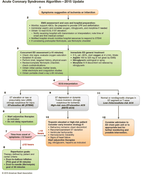 ACLS Guidelines - 2010 Update - Acute Coronary Syndromes