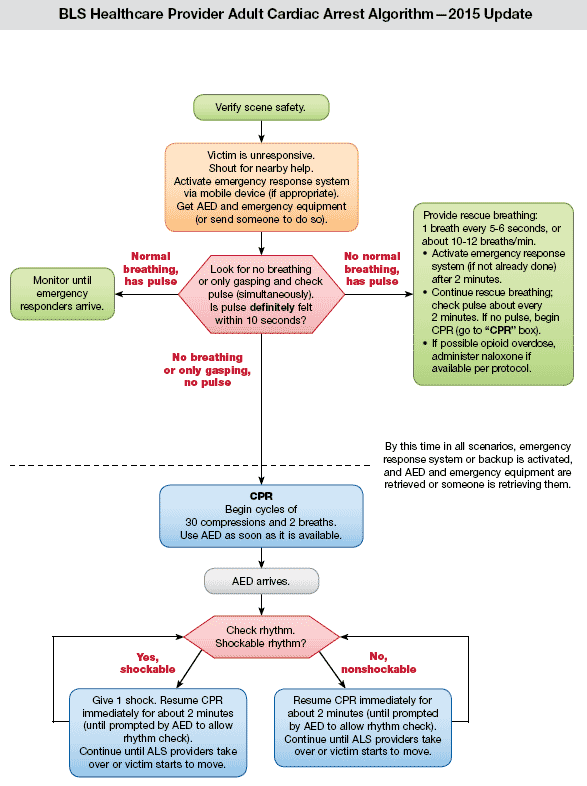 ACLS Guidelines - 2015 Update - Adult Basic Life Support