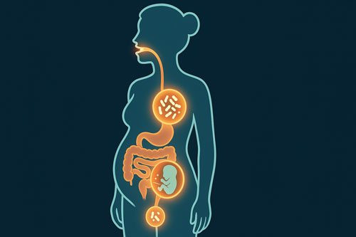 Microbiome During Pregnancy