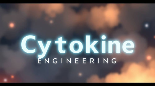 Cytokine Engineering