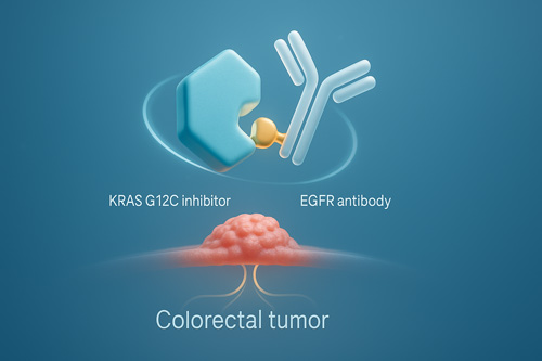KRAS G12C Inhibitors