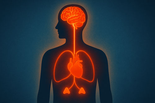 Stress, Resilience & Modern Life