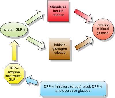 DPP4 inhibitors - Incretin mimetics
