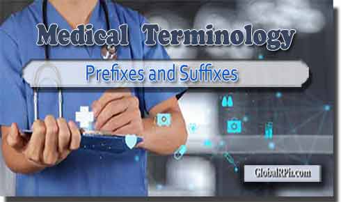 Prefixes and Suffixes Medical Terminology beginning with C