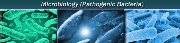 Microbiology - Infectious Disease Database