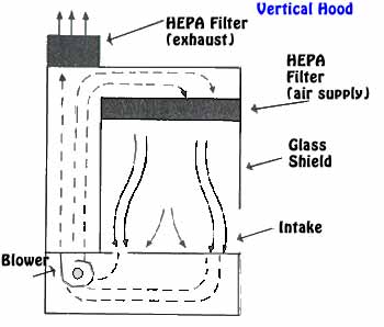 a vertical laminar flow hood should be cleaned