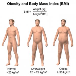 BMI Calculator, Body Mass Index Calculator