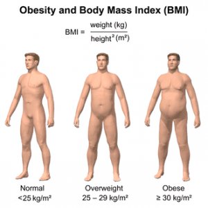 The body mass index (BMI) distribution between the breast cup size groups.