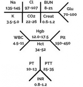 Normal chloride levels in adults