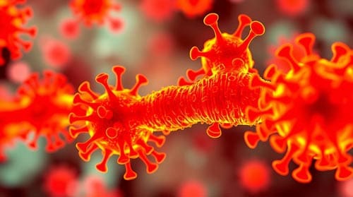 CAR-T Therapy and Cancer Therapy