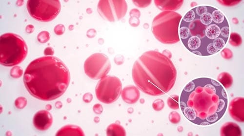 Hidden First Signs of Leukemia
