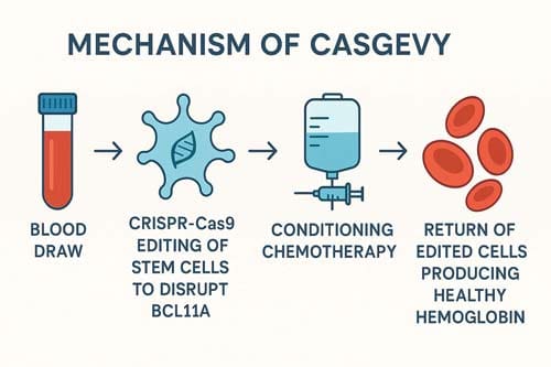 Sickle Cell Disease